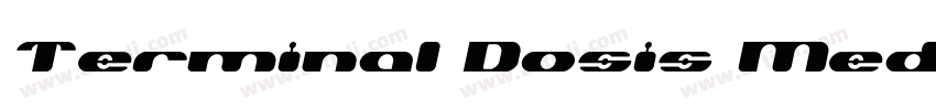 Terminal Dosis Medi字体转换